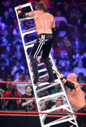 Kane pushing ladder