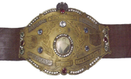 NWA World Heavyweight Championship (1948-1949)