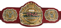 TNA Global Championship (October 2009 — July 2010)