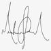 Michael Bay Signature