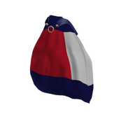 Tommy Flag Cape