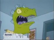 Drhomerasreptar