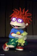 Chuckie In New 1999-present