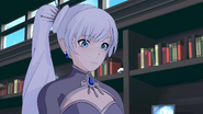 V4e2 weiss