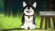 Zwei, Taiyang's dog