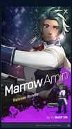 Promotional material of Marrow's release