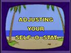 Adjusting Your Self-O-Stat