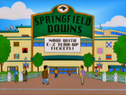 Springfield Downs