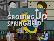 Springfield Up 013