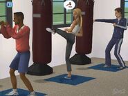 Sims2Fitness