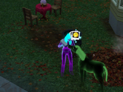 A Foal that died from a haunted curse, created by a mod.