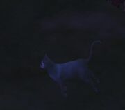 The ghost of a cat from The Sims 2: Pets.