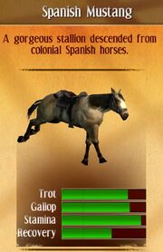 Spanish mustang