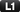 l1