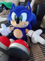 The large sized Sonic. Sitting due to not having wires in his legs, thus not being poseable.