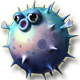 Puffer Fish