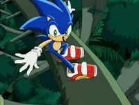 "Desperately Seeking Sonic"