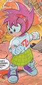 Amy Rose, from Sonic the Comic #103. Art by Richard Elson.