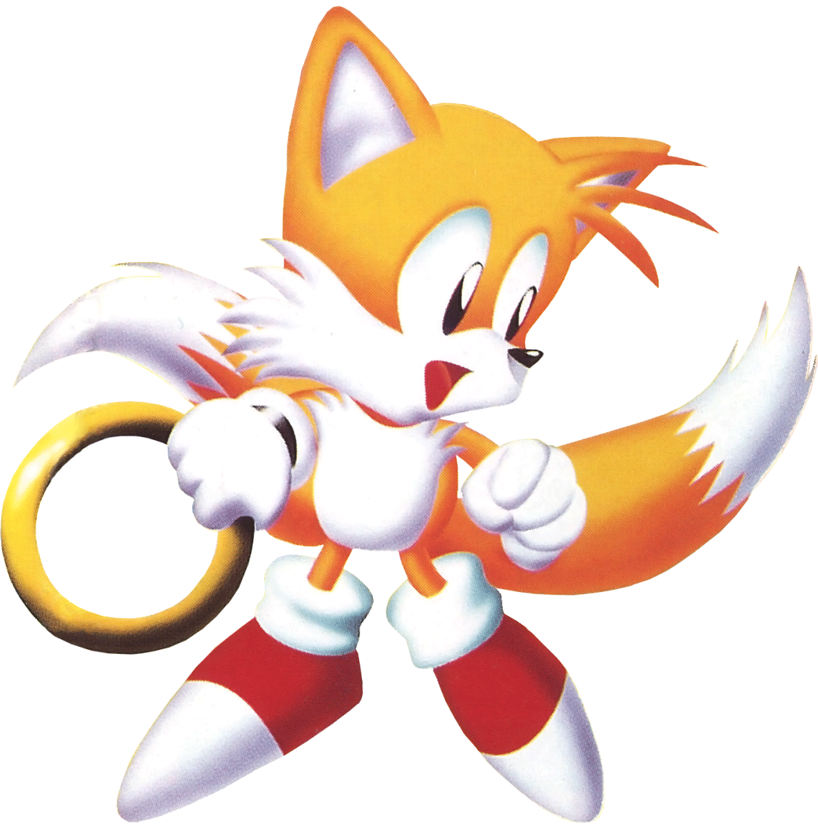 Tails 51