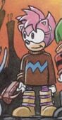 Amy's brown-and-blue turtleneck sweater, from Sonic the Comic #136.