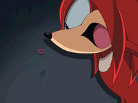 "The Adventures of Knuckles and Hawk"