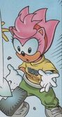 Amy's weird science T-shirt, from Sonic the Comic #160.