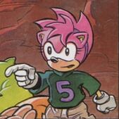 Amy's 5 T-shirt, from Sonic the Comic #132.