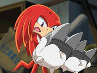 "The Adventures of Knuckles and Hawk"