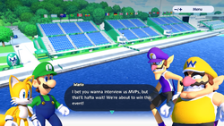 M&S6WarioAndWaluigi