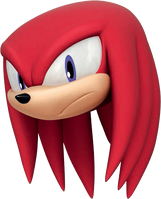 Knuckles Face