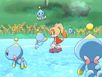 "Little Chao Lost"