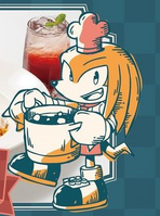 Sonic the Hedgehog Café