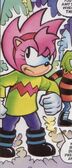 Amy's green-and-pink sweater, from Sonic the Comic #139.