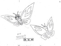 Butterfly 0024