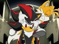 Tails attacks Shadow