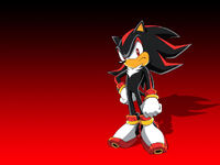 Sonicx016 1024x768