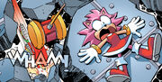 Knuckles Vs Amy