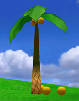 NG Palmtree