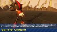 Shadow the Hedgehog