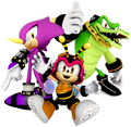 SSBU Spirit Chaotix