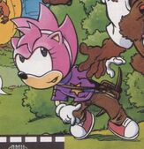 Amy's three-starred T-shirt, from Sonic the Comic #129.