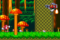 Sonic & Knuckles