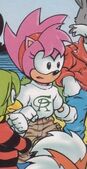 Amy's outfit from Sonic the Comic #131.