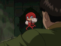 "The Adventures of Knuckles and Hawk"