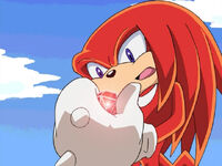 "The Adventures of Knuckles and Hawk"