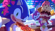 SonicChipBirthday