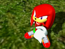 Knuckles bemused