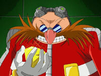 "Robotnik's Revenge"