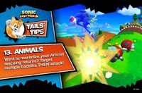 Tails' Tips #13