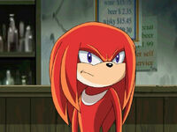 "The Adventures of Knuckles and Hawk"